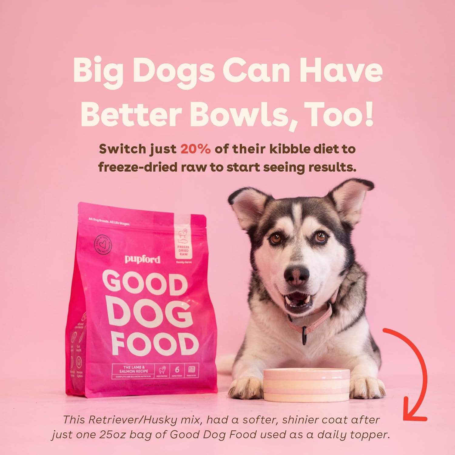 Pupford Good Dog Food, Freeze-Dried Raw, High-Protein, Superfood Ingredients - Image 5