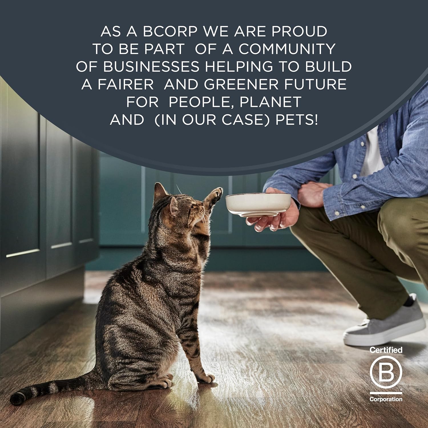 Reveal Natural Wet Canned Cat Food, Limited Ingredient - Image 7