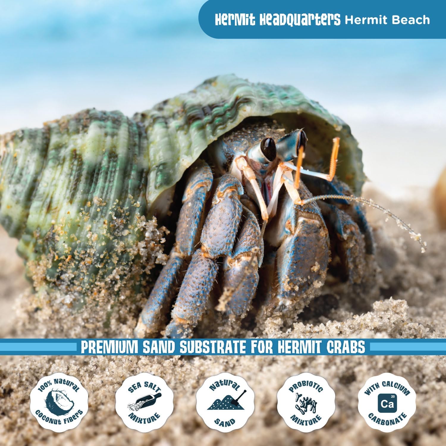 Fluker's All Natural Premium Hermit Crab Sand Substrate - Image 5