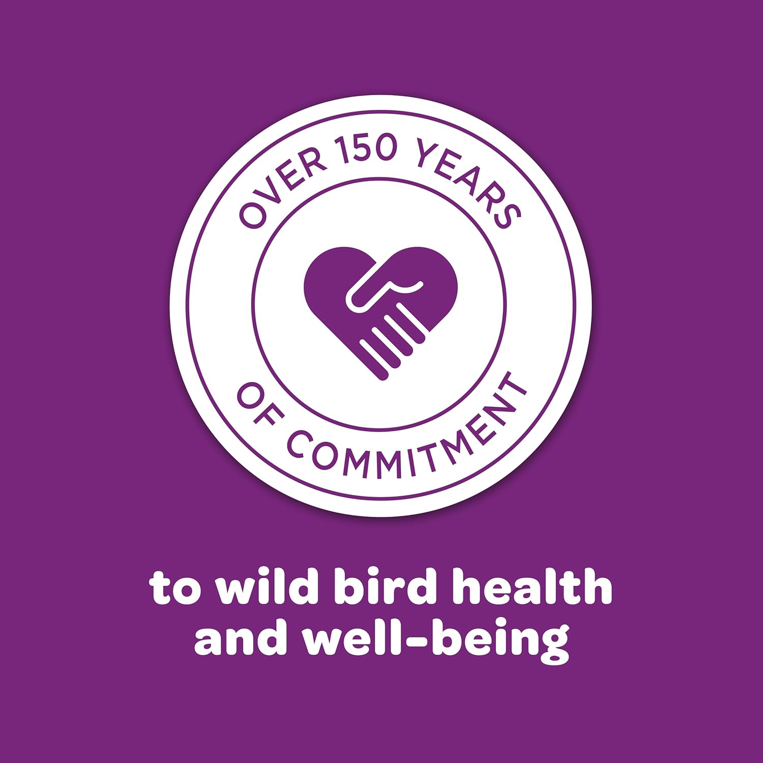 Kaytee Nut & Fruit Wild Bird Seed, 5 lb - Image 10