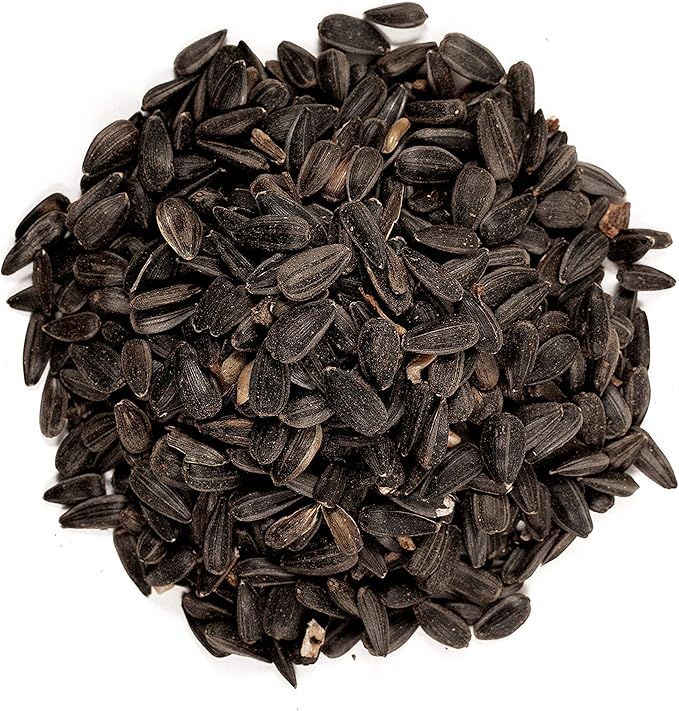 Wagner's 52023 Black Oil Sunflower Seed Wild Bird Food - Image 3