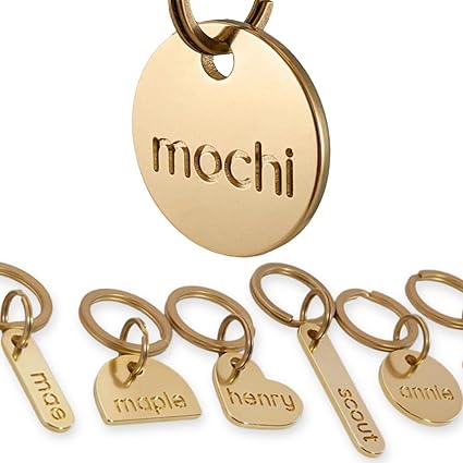 SOLID BRASS PET TAG - Modern, Minimal Pet IDs