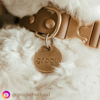 SOLID BRASS PET TAG - Modern, Minimal Pet IDs - Image 5