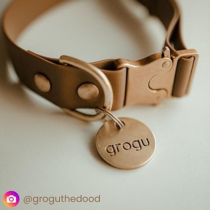 SOLID BRASS PET TAG - Modern, Minimal Pet IDs - Image 6