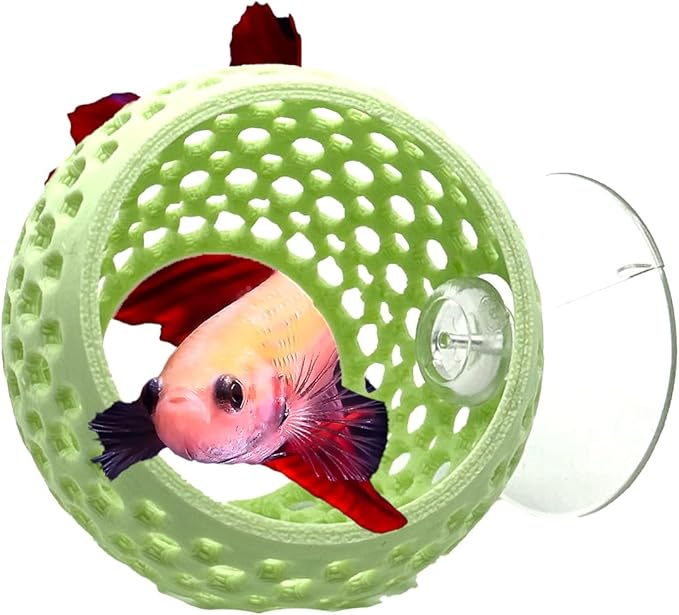 CTWPets Betta Bulb Hide | Betta Rest Fish Tank Ornament