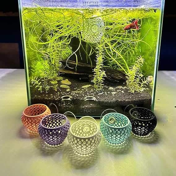 CTWPets Betta Bulb Hide | Betta Rest Fish Tank Ornament - Image 5