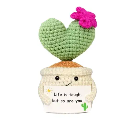 Emotional Support Crochet Cactus