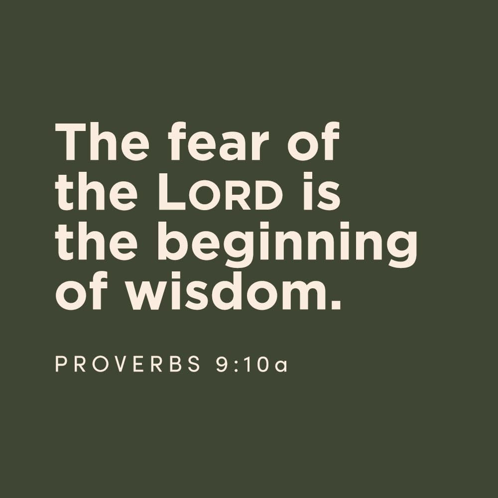 The Way of Wisdom - Bible Study for Women with Video Access: A Study of the Book of Proverbs - Image 7