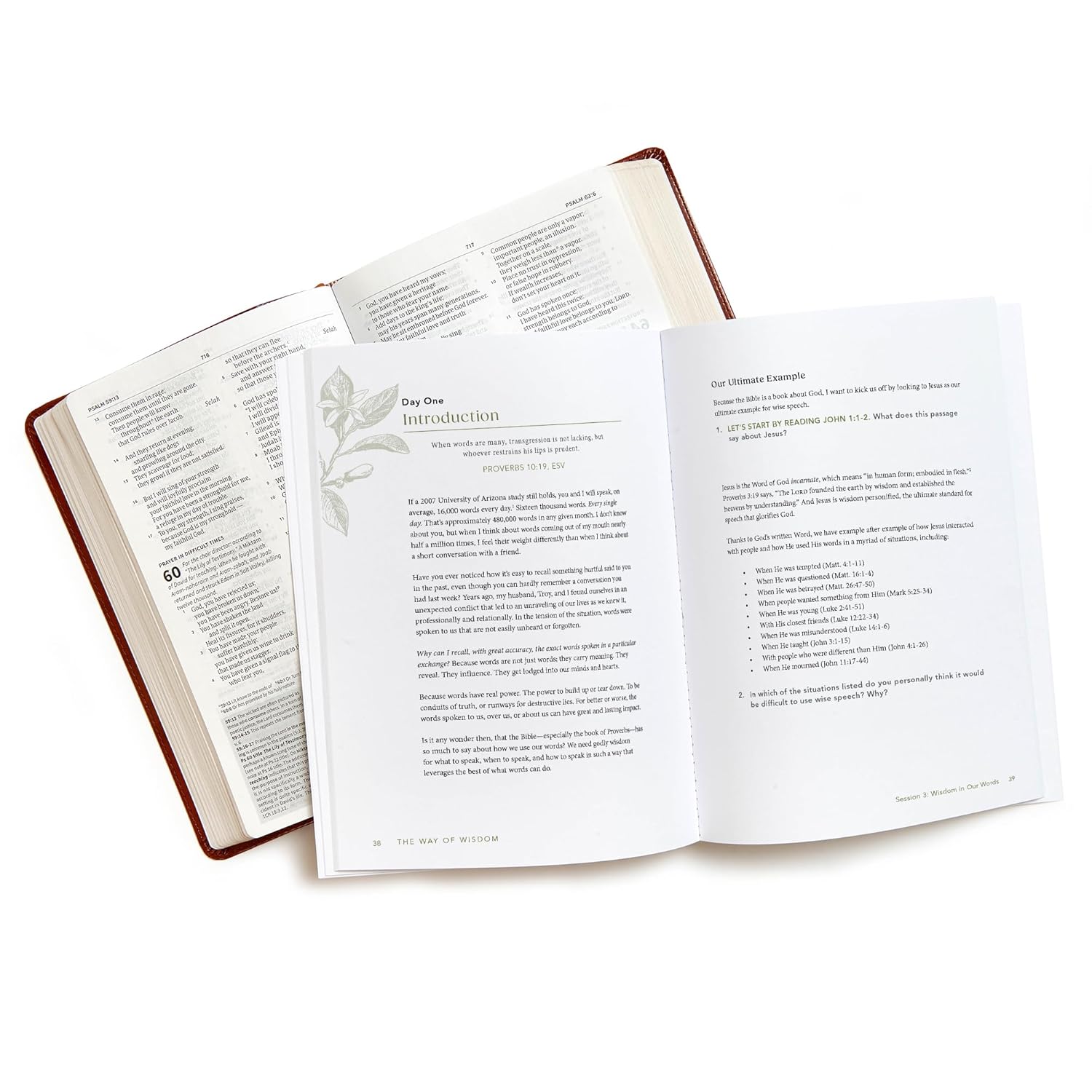 The Way of Wisdom - Bible Study for Women with Video Access: A Study of the Book of Proverbs - Image 10