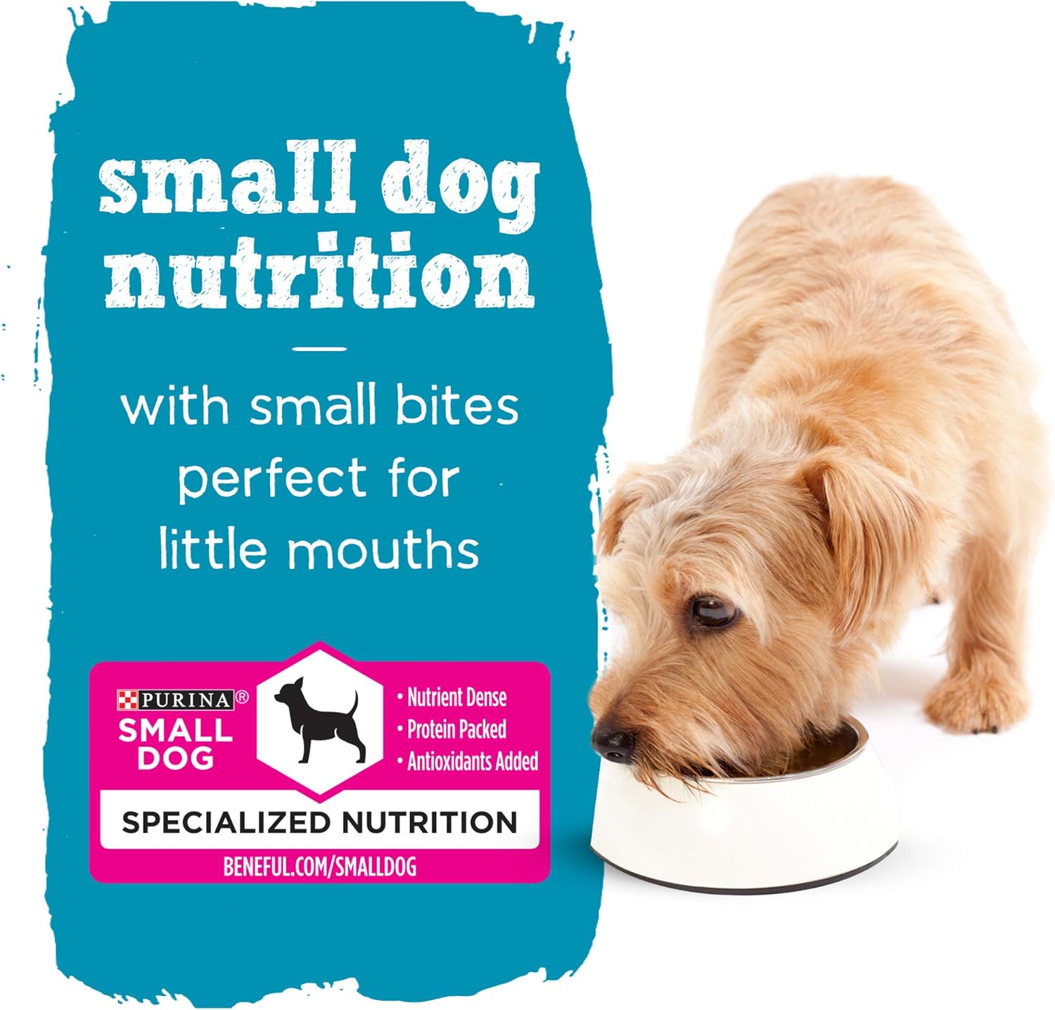 Purina Beneful Small Breed Wet Dog Food Variety Pack, IncrediBites With Real Beef, Chicken and Salmon - (Pack of 30) - Image 7