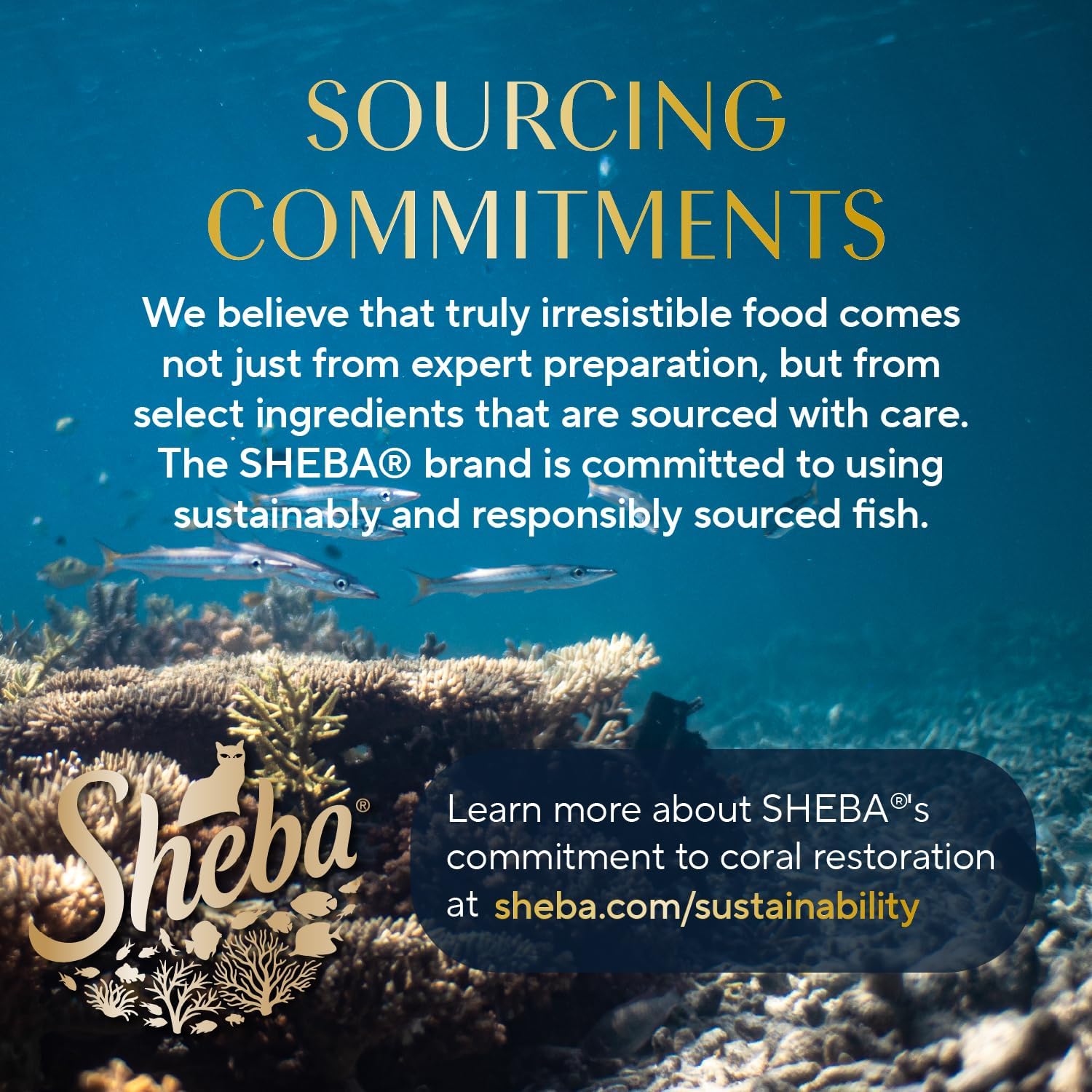 Sheba Perfect Portions Wet Cat Food Pate with Sustainable Salmon - Image 11